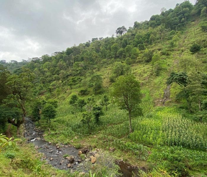 materuni waterfall tour