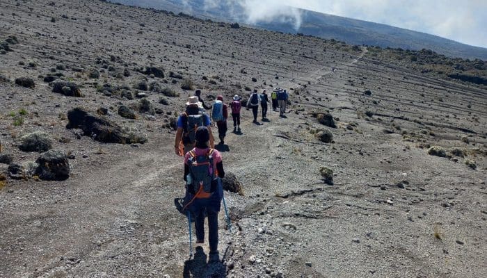 safari to kilimanjaro