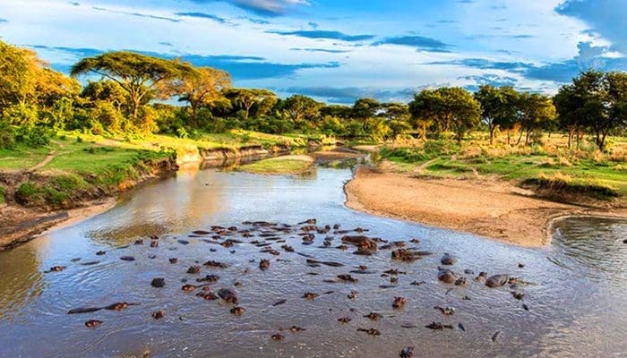 selous game reserved